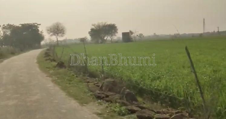 featured_img