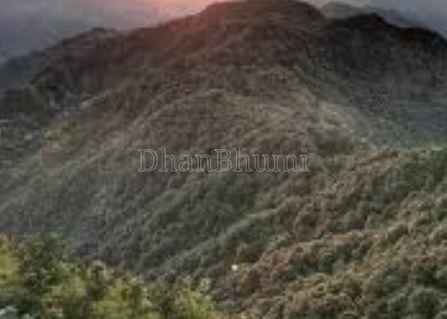 featured_img