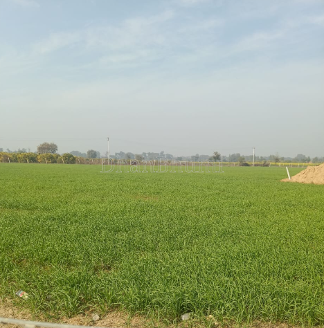 property_images/1772514842_69a66e1a36685.PNG