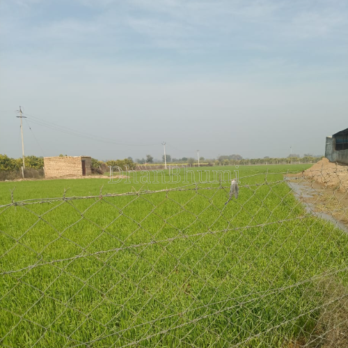 property_images/1772514842_69a66e1a52919.PNG