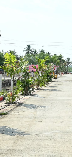 featured_img