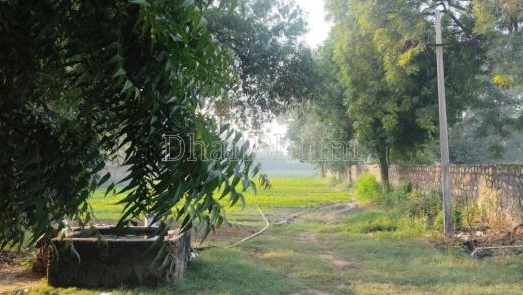 featured_img