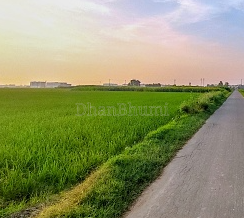 featured_img