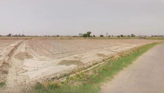featured_img