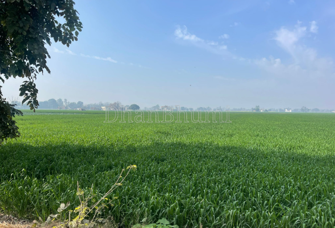 property_images/1773651794_69b7c752d0ff1.png