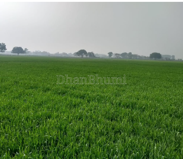 property_images/1773656413_69b7d95db0201.png