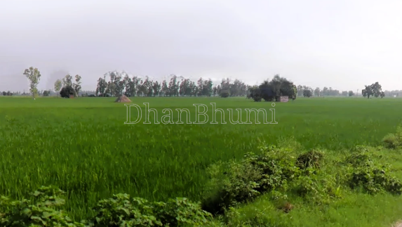 featured_img