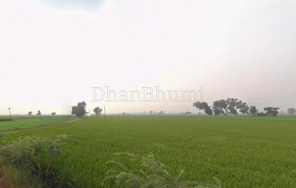 featured_img