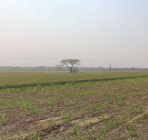 featured_img