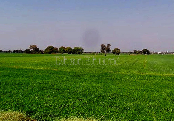 property_images/1774009232_69bd3b90c810c.png