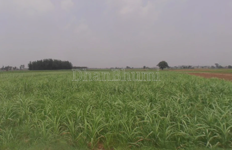 property_images/1774252711_69c0f2a73a7b3.png