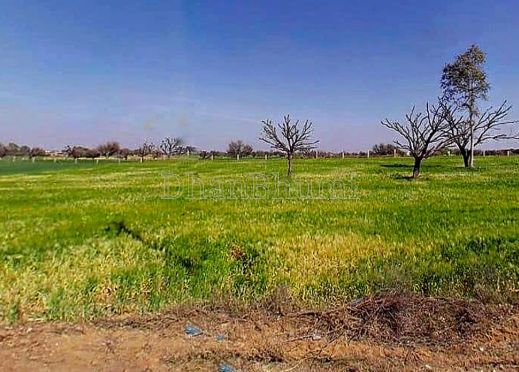 property_images/1774256142_69c1000e9882e.png