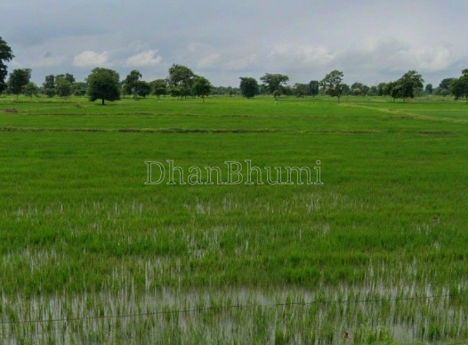 property_images/1774425158_69c3944633e27.png