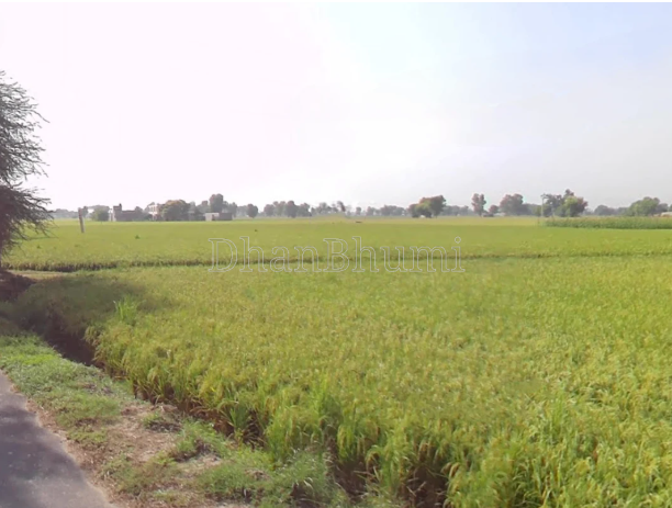 property_images/1774425384_69c39528bde12.png