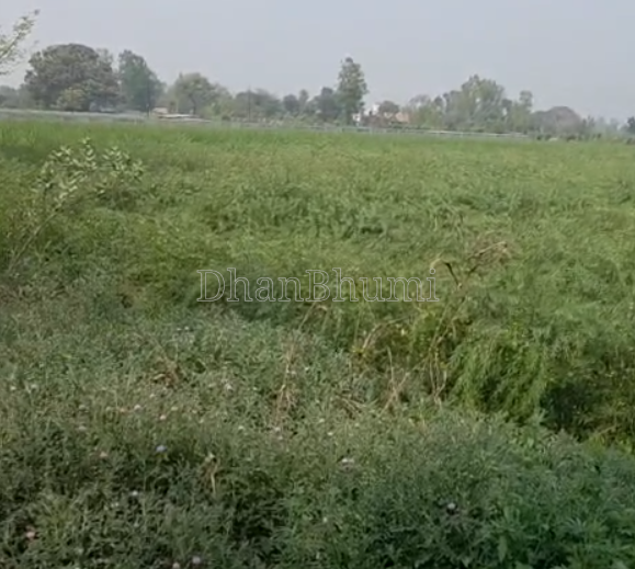 featured_img