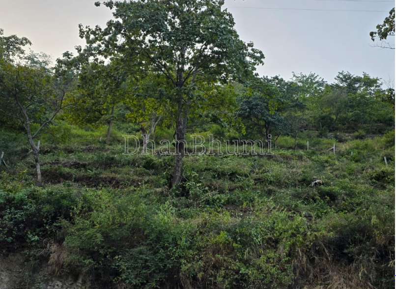 property_images/1774688661_69c7999524581.PNG