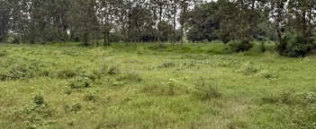 featured_img