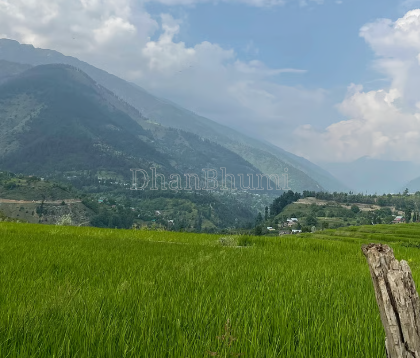 property_images/1775282218_69d0a82a7427e.png