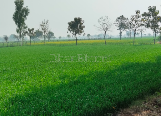 property_images/1775284259_69d0b02391b85.png