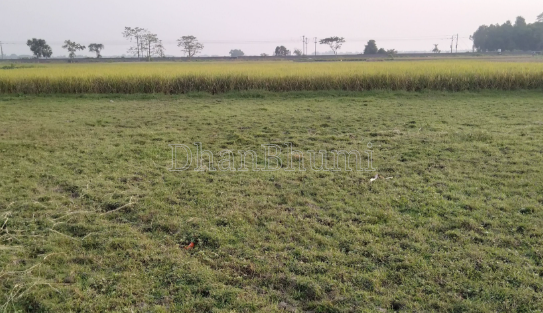 property_images/1775455008_69d34b20d28ff.png