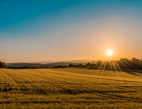 featured_img