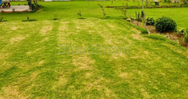 property_images/1775814153_69d8c609a9100.png