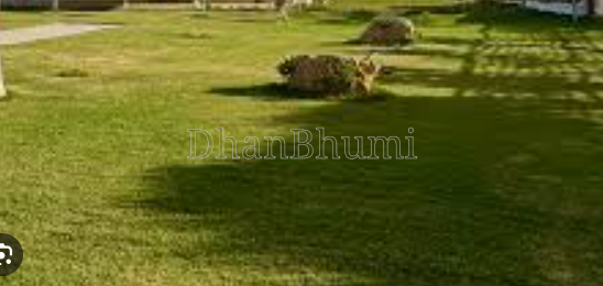 property_images/1775815351_69d8cab78a195.png