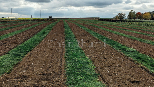 property_images/1776060665_69dc88f95c425.png
