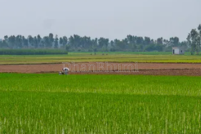 featured_img
