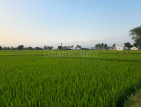 property_images/1776413720_69e1ec1814e16.png