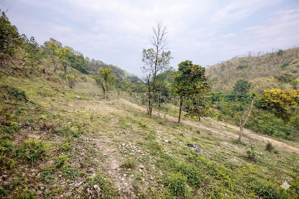 property_images/1776426305_69e21d4107d1d.png
