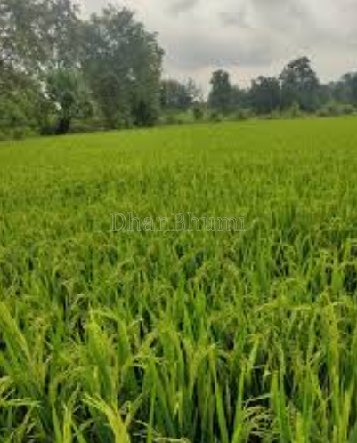 property_images/1776491405_69e31b8d78c66.png