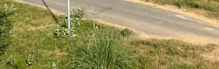 property_images/1776505395_69e352337a47f.png