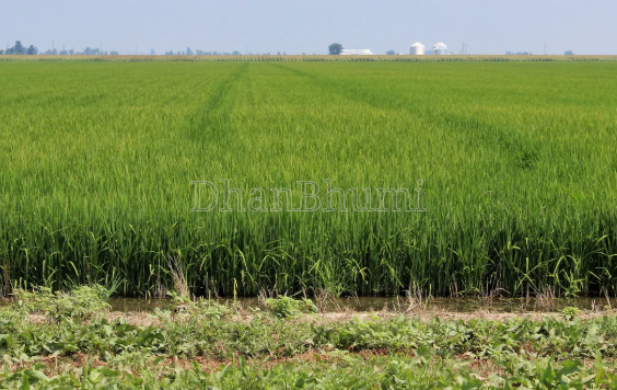 property_images/1776513094_69e370462e08f.png