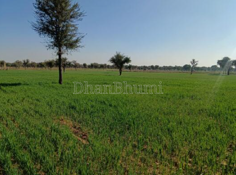 property_images/1776765646_69e74ace074a0.png