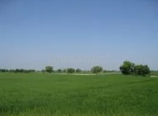 property_images/1776765859_69e74ba308ac8.png