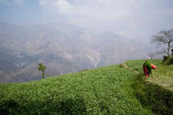 property_images/1776944133_69ea04054e7d1.png