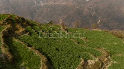 property_images/1776944386_69ea050235911.png