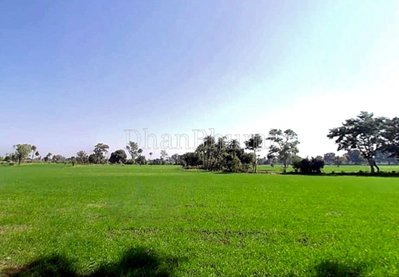 property_images/1777359001_69f05899d69cd.PNG
