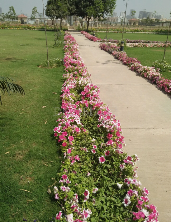 property_images/4_bhk_independent_builder_floor_in_gurugram_1778930609_6a0853b164d8a.png