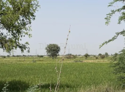 property_images/agricultural_in_ahmedabad_1778664019_6a0442530d5f5.png