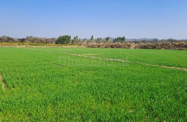 property_images/agricultural_in_ahmedabad_1778917508_6a082084ed57d.jpg