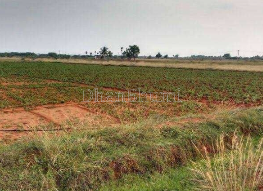 property_images/agricultural_in_ajmer_1777722686_69f5e53e2d75c.png