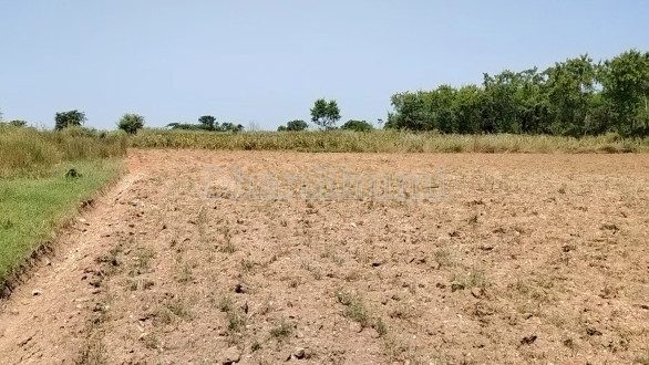 property_images/agricultural_in_alwar_1778581035_6a02fe2b45211.PNG