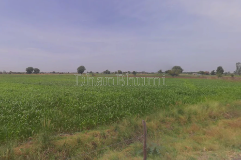 property_images/agricultural_in_alwar_1778742358_6a057456f25ad.png