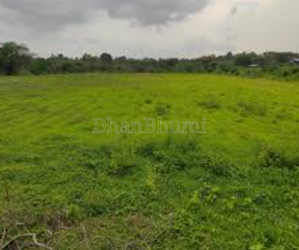 property_images/agricultural_in_alwar_1778742455_6a0574b7b7634.png