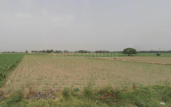 property_images/agricultural_in_alwar_1778742647_6a057577ac049.png