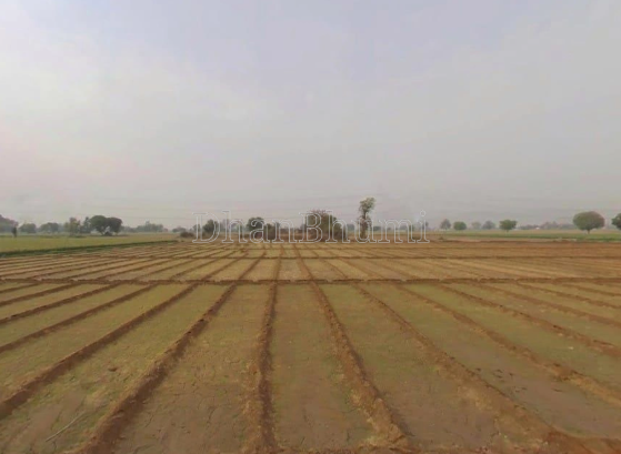 property_images/agricultural_in_alwar_1778745514_6a0580aadc73a.png