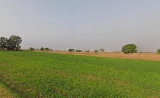 property_images/agricultural_in_alwar_1778750072_6a059278a921f.png