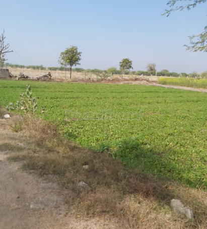 property_images/agricultural_in_alwar_1778750352_6a059390adb39.png